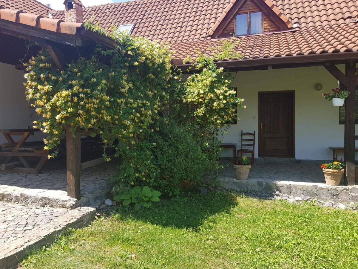 Vila Sura Razoare Sighișoara Zewnętrze zdjęcie