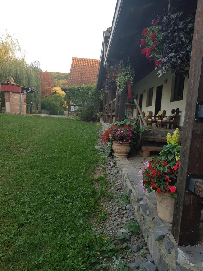 Vila Sura Razoare Sighișoara Zewnętrze zdjęcie