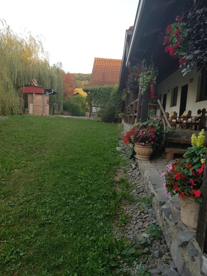 Vila Sura Razoare Sighișoara Zewnętrze zdjęcie