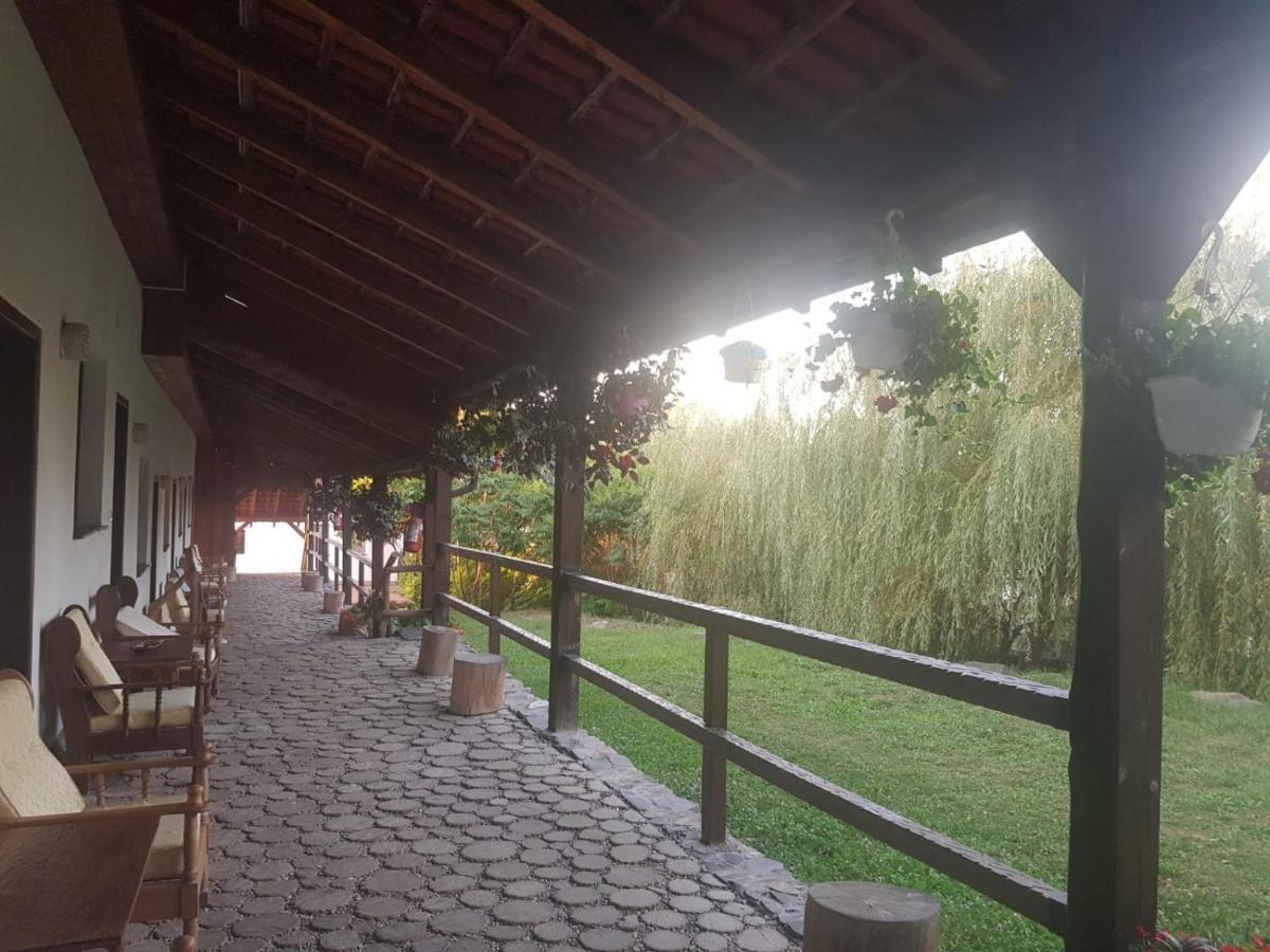 Vila Sura Razoare Sighișoara Zewnętrze zdjęcie